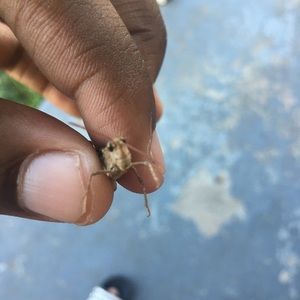 Meet your Posher, Dean